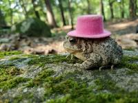 /home//u458753944/public_html/sourcegallery//////////contributed/Emergency Kits/pink.JPG